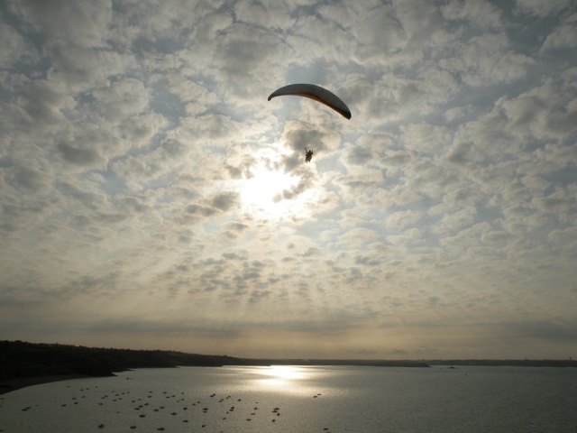  Parapenle Bilfot.JPG 